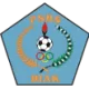 Logo PSBS Biak Numfor